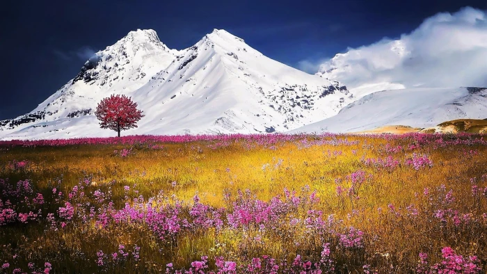 sky morschach landscape highland schwyz lonely tree swiss alps 2k