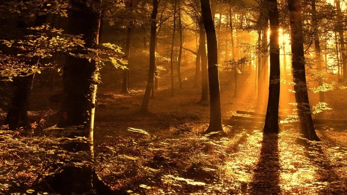 widescreen high resolution nature hd 2k