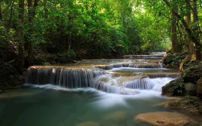 Forest trees waterfalls river green nature 2k