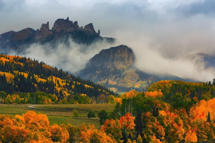 green trees foggy mountain and forest nature landscape mountains 2k