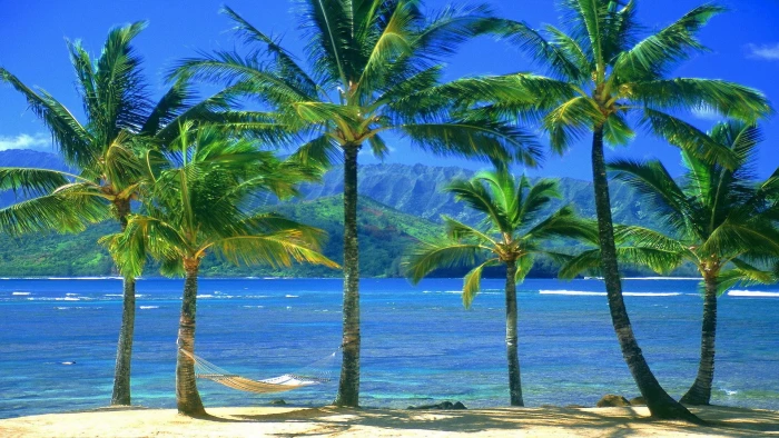 nature turquoise beach sea water travel tropical vacation 2k