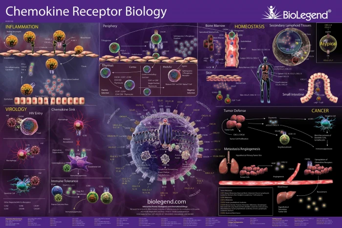 abstract abstraction Biology Chemistry detail genetics 2k