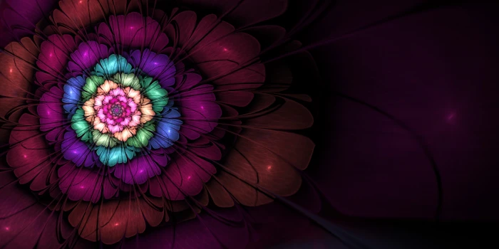 Fractal Apophysis Digital Art Abstract Flowers 2k 4k