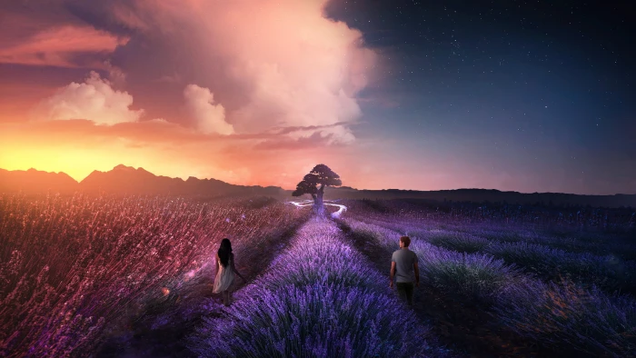 man and woman standing on lavender field wallpaper nature landscape 2k