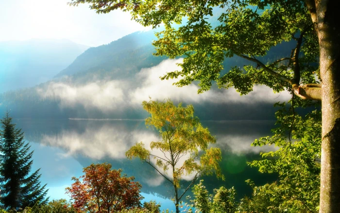 Nature scenery mountains forest trees lake mist morning reflection 2k