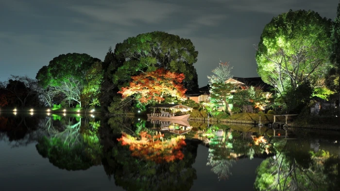 nature trees forest wall lakes Nature Forests HD Art 2k