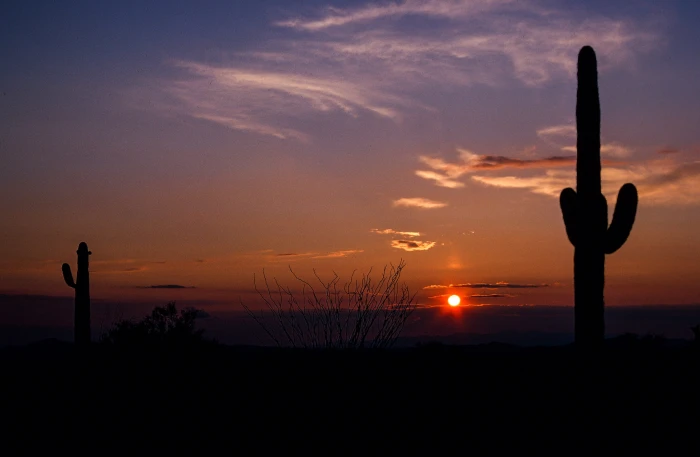 Sunset as Saguaro Cactus seen in the foreground arizona beautiful 2k