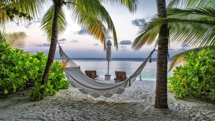 white hammock landscape hammocks palm trees tropical sea 2k