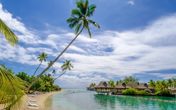 Beach sea resort house palm trees tropical 2k