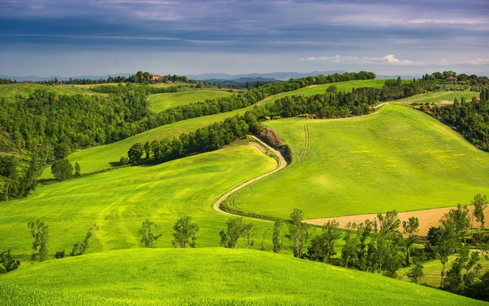 hd p nature download green color landscape 2k