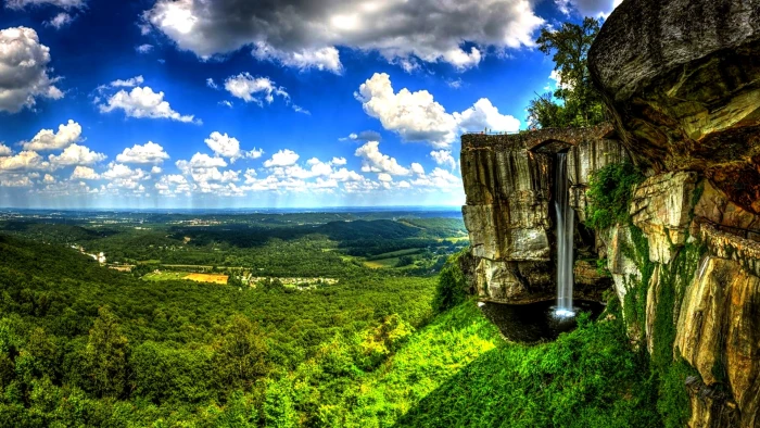 nature landscape grass garden tree field sky summer 2k