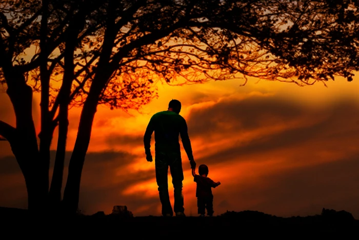 silhouette of man and children under leaved tree during sunset 2k 4k