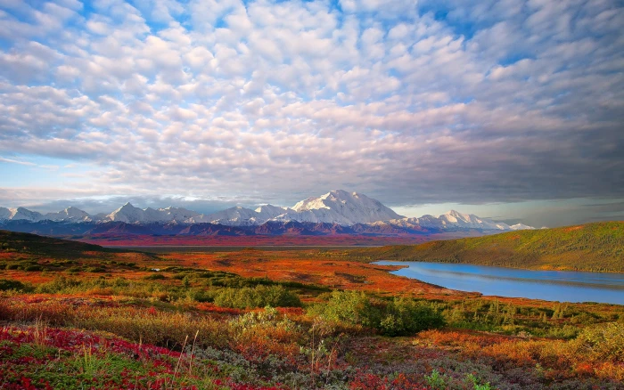 USA nature landscape Denali National Park 2k