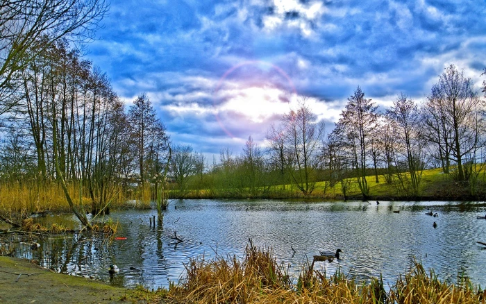 Ducks and lake scenery 2k