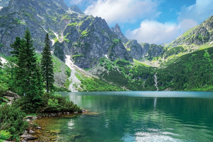 green leafed tree photography nature landscape mountains 2k