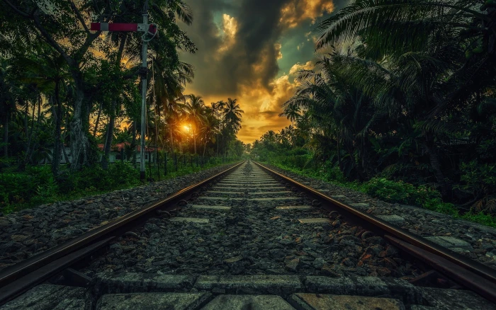 nature Sri Lanka railway clouds landscape sunset palm trees 2k