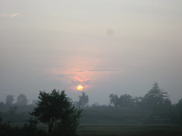 sunset scenery village morning road landscape tree plant 2k 4k
