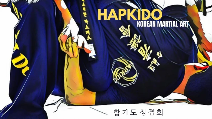 hapkido korean martial arts 2k