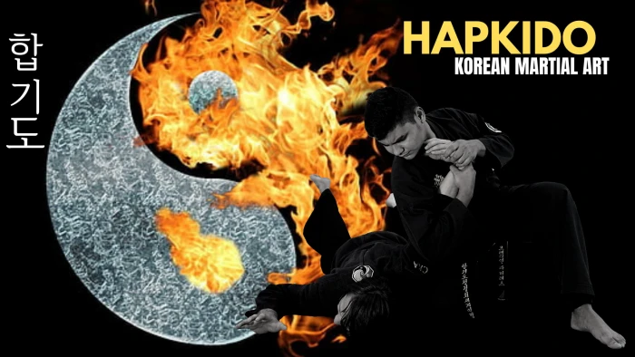 korean martial arts hapkido 2k