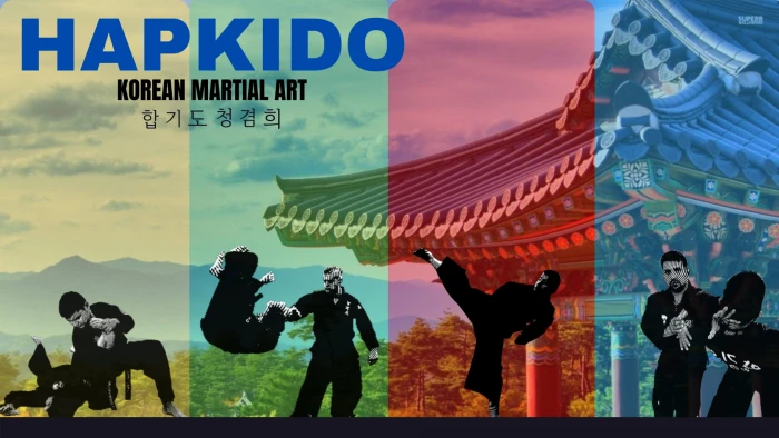 korean martial arts hapkido 2k