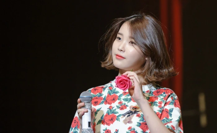 Asian IU celebrity Korean owl women 54 2k Lee Ji-eun