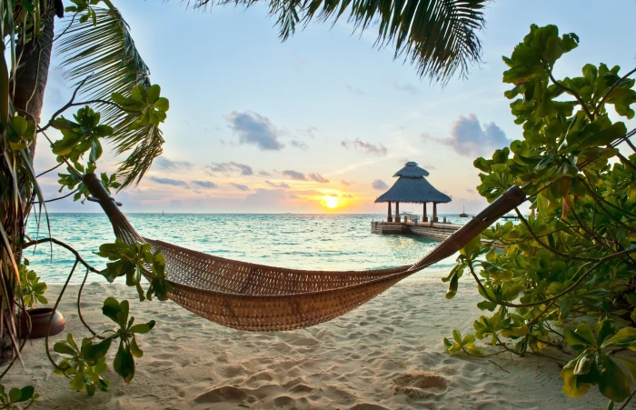 brown woven hammock tropics beach sand holiday palm sea 2k 4k