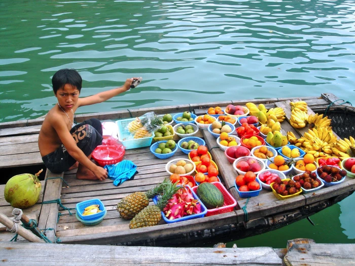 boy wearing black pants near fruits selling delicious halong bay 2k