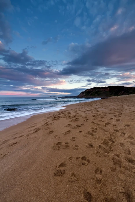 brown sand with foot steps in day light warriewood beach 2k