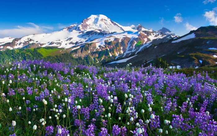 computer desktop background hd nature images mountain 2k