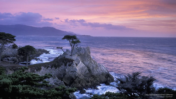 Lone Cypress Near Carmel California Beaches 2k