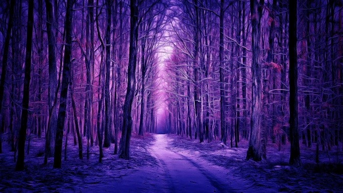 purple landscape forest path woods woodland 2k