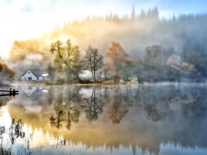 Beautiful painting house forest lake nature morning fog 2k