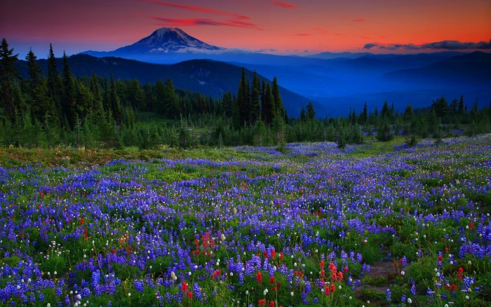 computer desktop background hd nature images beauty in 2k