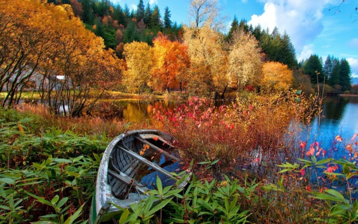 gray wooden boat photo of on body water lake 2k