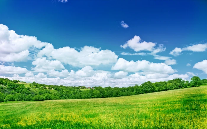 nature landscape greenery field clouds sky 2k