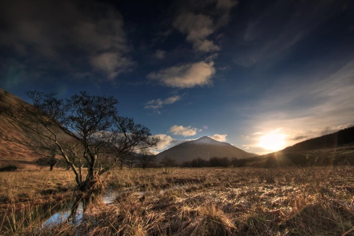 green tree near body of mountain scenery scotland landscape 2k
