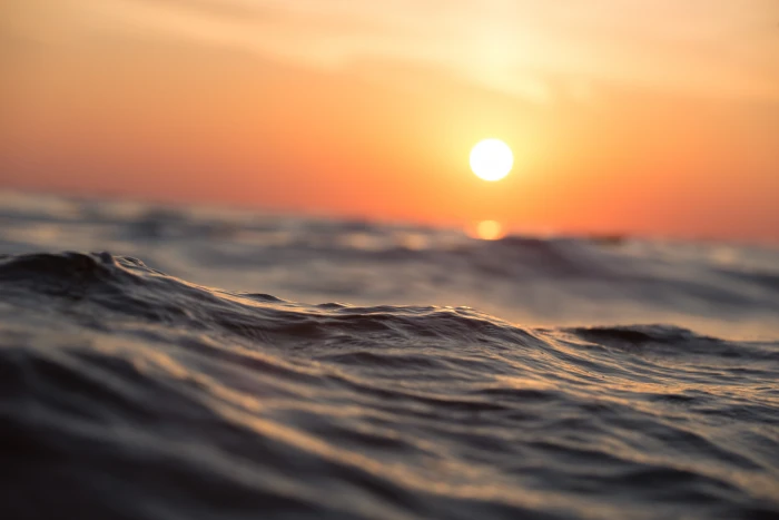 sea at sunset close up body of water beach dawn dusk ocean 2k 4k 5k