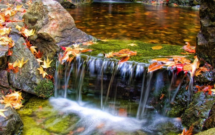Beautiful Butchart Gardens Waterfall Nature Scenery Wallpaper 2k