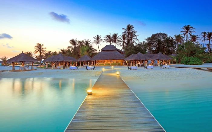 brown wooden dock Maldives island beach palm trees water 2k