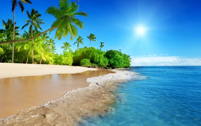 Tropical Beach Corner exotic landscape sea ocean gorgeous 2k