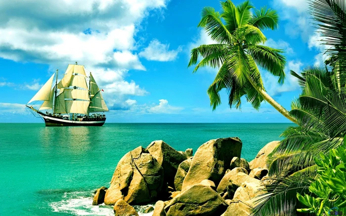 white and brown ship tropical palm trees nature clouds sea 2k
