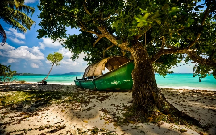 green canoe nature landscape beach island tropical India 2k