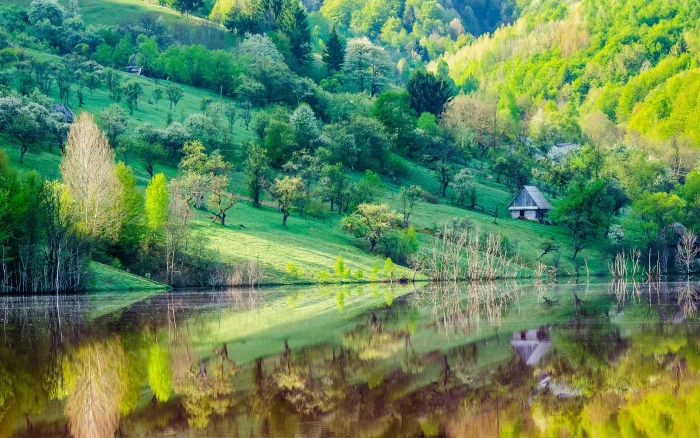 Mountain slope trees house lake water reflection spring scenery 2k