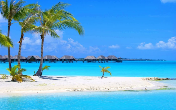 Tropical island in Maldives Palms trees sandy beaches turquoise clear water bungalows Wallpaper HD 2k