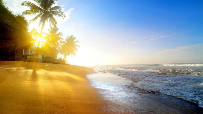 coast summer sunrise sand sandy beach tropical landscape 2k 4k