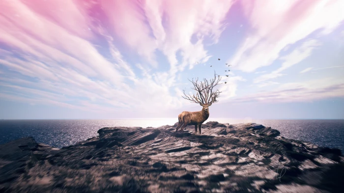 deer cliff HD fantsy 2k 4k