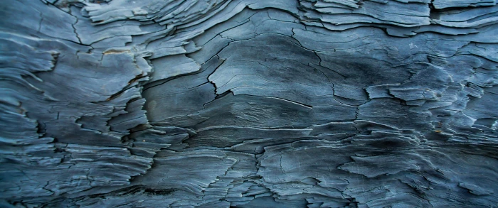 macro texture photography ultrawide log wood nature 2k