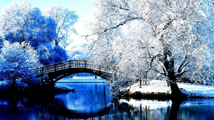 nature Winter park central contrast high hd winter 2k