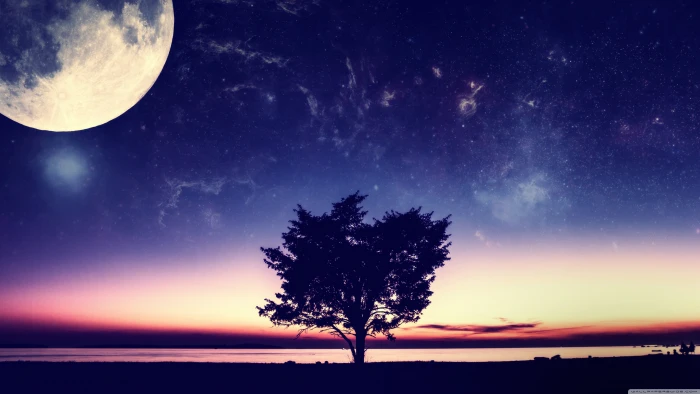 silhouette of tree and full moon painting leafed nature 2k 4k