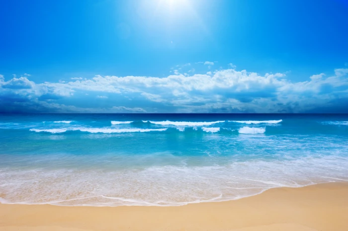 Sunny day Summer Beach 2k 4k